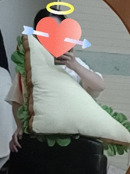 [Limited Quantities] Man Hua 19 Days Mo Guan Shan Huge Sandwich Plushie